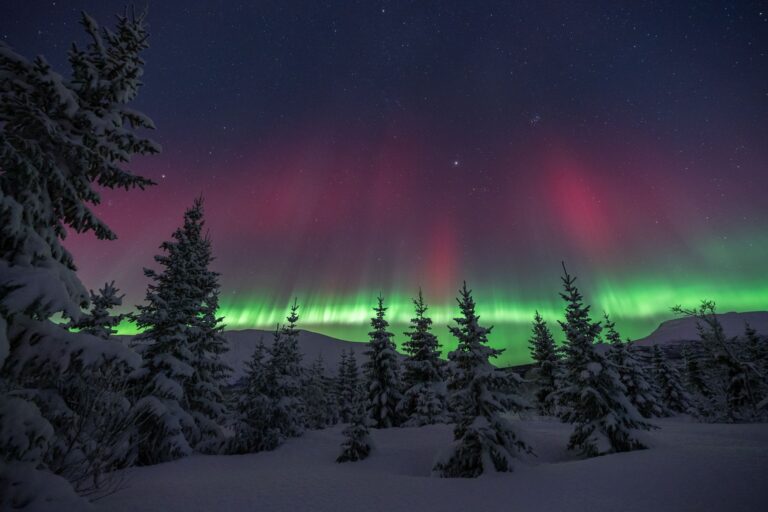 Can You See the Northern Lights from Tromsø City?